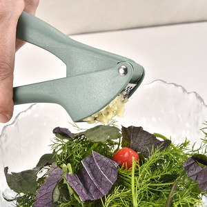 Garlic Press Manual Stainless Steel Kitchen Tool Food Grade Hand Operated Garlic Crusher For Cooking - Product Image 3