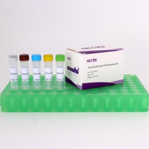 Brucella spp. Kit de Detección de PCR en Tiempo Real - Product Image 3
