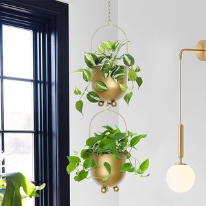Fioriere da Soffitto per Interni ed Esterni, Vaso Sospeso per Finestre, Porta Piante in Metallo per Casa - Product Image 4