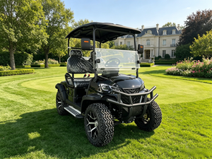 Carrito de Golf Compacto de 2 Plazas, Buggy Eléctrico de Fácil Control para Viajes por Playa y Resort, para Uso en Carreteras No Públicas - Product Image 1