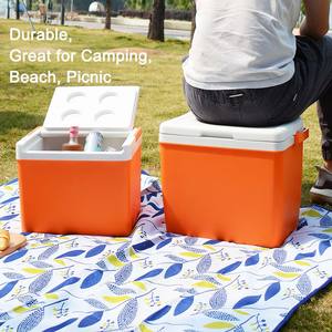 Ensemble de glacières isothermes personnalisées en PP de 5 L avec motif de dessin animé, sans BPA, pour le camping, les pique-niques en plein air, l'utilisation en voiture - Product Image 2