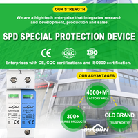 Parafoudre SPD DC/AC 150V/220V/500V 1+NPE avec signal à distance, protection contre la foudre pour armoires et distribution d'énergie en bâtiment