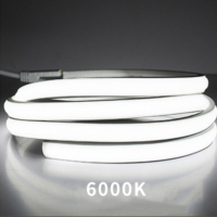 Tira de Luz LED COB de 100m 220V Sin Controlador Impermeable para Exteriores Tira de Luz LED Flexible para Decoración de Jardín