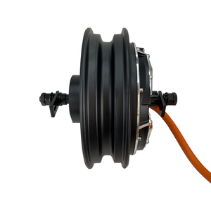 Động cơ không chổi than và không bánh răng DC 16 trục QSmotor 10 inch V4 50H 3kW WP - Product Image 6