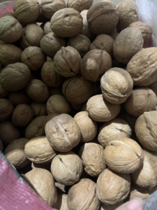 <span class=keywords><strong>Noix</strong></span> de Grenoble Biologiques Séchées Brutes, Aliment Nutritif en Sachet - Product Image 1