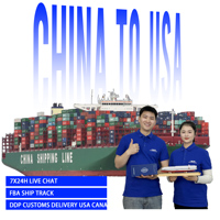 Agente de Envío DDP para Compradores Transfronterizos de China a EE. UU., Canadá, México, Reino Unido, Australia, Carga Minorista DDP DDU, Transporte Marítimo LCL FCL, Aduanas