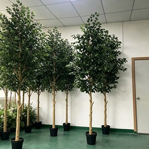 Árboles de Banyan Desmontados y Ensamblados al por Mayor para Eventos - Duraderos, Reutilizables y de Hoja Perenne - Product Image 6