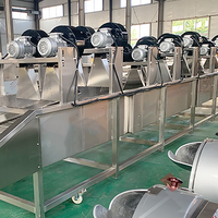 Cassave Droogmachine 304 RVS Droogmachine Hoge-dichtheid Voedseldroger Dehydrator Droogmachine Fruit Dehydrator