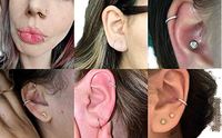 Bijou de Piercing Gaby en Gros en Acier Chirurgical 316L, Anneau à Segment Clic Clac CZ 16G, Boucle d'Oreille pour Cartilage, Daith, Conch, Hélix