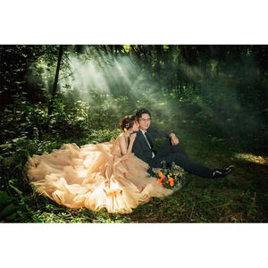 Yellow Strapless Tulle Ball Gown Wedding Dress Empire Waistline Candy Color Outdoor Themed Photography Dress - Product Image 4