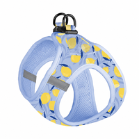 Ensemble de laisse pour chien anti-traction, nouveau modèle, motif citron mignon, luxueux et durable, vente en gros, produit pour animaux de compagnie, offre spéciale