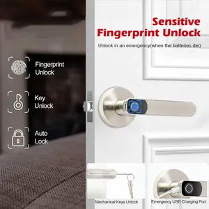 Top Security Intelligent Main Gate Electric Lock WiFi Fingerprint Zinc Alloy Smart Door Lock