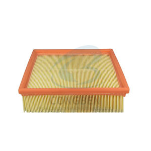 Proveedores Filtro de aire genuino 5016-787 93152007 1328047 860X-9601-BA 21129620 13280474 1257305 para Nissan Navara - Product Image 1