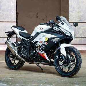 Motocicleta Deportiva Hirlee HL200-5H Kawasaki de Dos Cilindros, Modelo Small Ninja <span class=keywords><strong>Horizon</strong></span> para Adultos, Motor de Bajo Consumo - Product Image 5