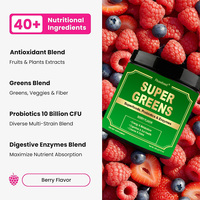 OEM Private Label Suikerloze Veganistische Bessensmaak Super Greens Poeder Drinkmix met Superfoods, Probiotica & Enzymen voor de Spijsvertering