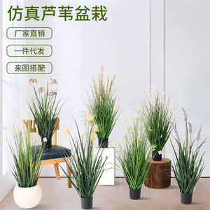 Plantes artificielles en pot : Roseaux, Herbe d'oignon, Fleurs de colza, Queue de chat, 100cm-200cm, Décoration intérieure et extérieure, Collection Château des Rêves - Product Image 5