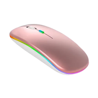 Souris sans fil BT rechargeable ultra fine Mini optique 1600DPI RGB 3D ergonomie Design pour ordinateur portable PC en stock