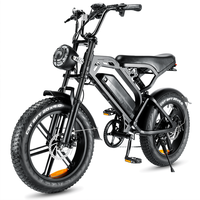 V20 Ebike Mise à niveau Fat Tire Mountain Off-Road Ebike Sport Électrique E Bike City Vélo Électrique 250w E-Bike V20 Fatbike Europa