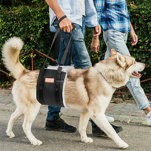 調整可能な犬用リフトハーネスハインド安全なケア脚リフトサポート弱い後脚シニア負傷障害者手術ライトアップ犬用ハーネス - Product Image 1