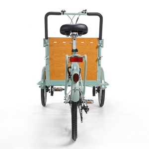 Cadre de vélo électrique pour <span class=keywords><strong>Transport</strong></span>, bicyclette à assistance électrique, couleurs personnalisées, pour pays-bas, 1 pièce - Product Image 5