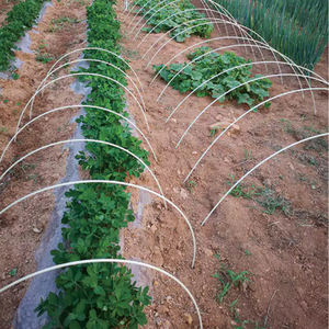 Günstige glatte Glasfaser produkte <span class=keywords><strong>frp</strong></span> Stab zur Baums tütze - Product Image 6