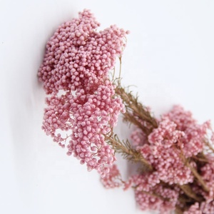 Fiori di Miglio Essiccati Naturali, Decorazioni Floreali per Matrimoni - Product Image 2