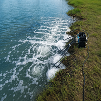 Compresseur d'aération à piston sans huile 200L/min 700W pour étang à poissons et lac jusqu'à 5 acres Certifié CE TUV