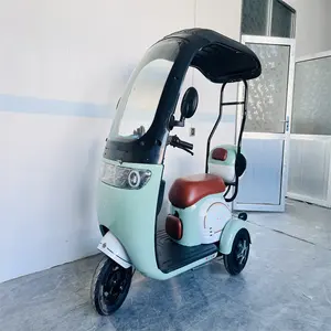 Electric 800watts Q1 Factory Custom Wholesale High Quality Large Stock Freight Electric Tricycles Adult Electric Tricycle