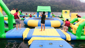 Lilytoys OEM nhà máy cao nhiệm vụ thương mại lớn Inflatable công viên nước nổi Aqua công viên nước trở ngại khóa học cho hồ - Product Image 3