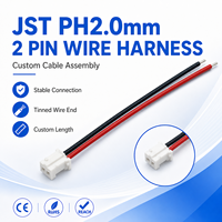 Kabel Konektor Rakitan Kabel Harness JST PH2.0mm 2 Pin Merah Hitam Ujung Berlapis Timah Kustom OEM untuk PCB LED