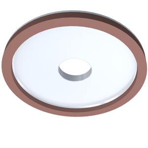 Muela abrasiva <span class=keywords><strong>de</strong></span> diamante <span class=keywords><strong>de</strong></span> doble grano <span class=keywords><strong>de</strong></span> 125mm, <span class=keywords><strong>discos</strong></span> <span class=keywords><strong>de</strong></span> afilado <span class=keywords><strong>de</strong></span> molienda superior para máquina afiladora <span class=keywords><strong>de</strong></span> hojas <span class=keywords><strong>de</strong></span> sierra Circular TCT - Product Image 4