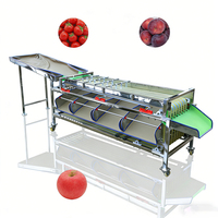 Machine de tri et de calibrage multifonctionnelle pour pommes de terre, ail, cerises, prunes, dattes, noix de cajou, ananas, légumes et fruits