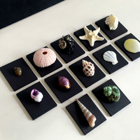 Aimants de réfrigérateur en coquille de conque naturelle, faits à la main, style méditerranéen, souvenir sur le thème de l'océan, provenant de Chine