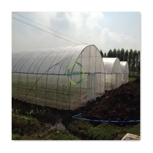 중국 스타일 에너지 절약 녹색 집 프레임 스틸 애벌레 터널 농업 에어로빅 태양 수동 온실