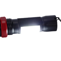 Mini lampe torche LED en aluminium de qualité aéronautique 250LM, étanche, rechargeable, portable, éclairage extérieur avec variateur d'intensité, charge Type-C