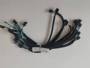 UL IATF16949 JST JAE Molex 2p Kablo Grubu Kablo Demeti Üreticileri - Product Image 1