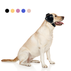 <span class=keywords><strong>Cuffie</strong></span> Antirumore <span class=keywords><strong>per</strong></span> <span class=keywords><strong>Cani</strong></span> in PET, Protezione Acustica Colorata con Copertura in ABS <span class=keywords><strong>per</strong></span> <span class=keywords><strong>Cani</strong></span> - Product Image 2