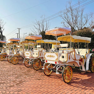 Chariot de mariage électrique à chevaux, calèche de tourisme européenne à chevaux, chariot de balnéo à chevaux - Product Image 4