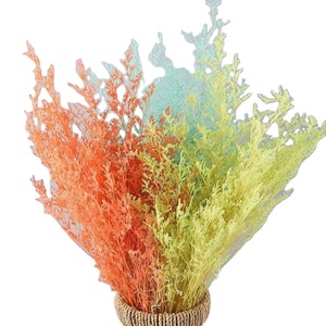 Venta al por mayor blanqueada San Valentín amante hierba para decoración del hogar Ramos para Pascua y Halloween ocasiones limonio conservado - Product Image 1