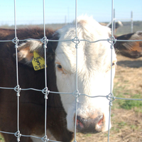 Clôture de champ à charnières galvanisées pour le bétail agricole