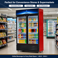 Réfrigérateur Vitrine Commercial Monotempérature Certifié CE pour Boissons et Crèmes Glacées en Gros pour Supermarchés et Bars