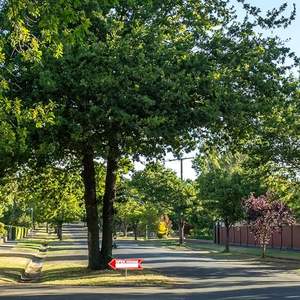 Open House Arrow Yard Sign à vendre par le propriétaire Agent immobilier Yard Sign Arrows Yard Sign Roc Xie - Product Image 5