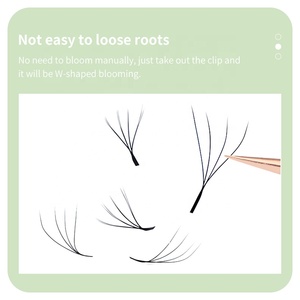 Diyday OEM 4D Clover <span class=keywords><strong>W</strong></span> hình Pre Made Mink khối lượng lông mi mở rộng cho tùy chỉnh thứ tự - Product Image 4