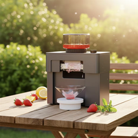 Machine à glaçons électriques en forme de flocon de neige pour usage domestique, sans sucre, glace instantanée en 60 secondes, multifonction, taille compacte, facile à nettoyer