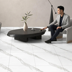 Azulejos de Porcelana con Aspecto de Mármol Aramani Seal, 600x600mm, Brillantes, Diseño Cerámico GVT - Product Image 2