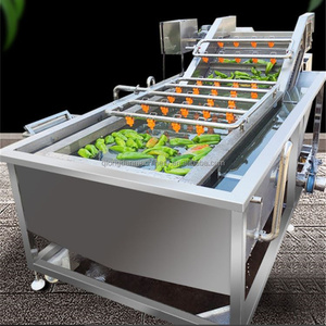 Máquina Automática para Lavar Chiles, Calabazas, Espinacas, Uvas, Frutas, Mangos, Guayabas y Ajos con Burbujas de Aire - Product Image 4