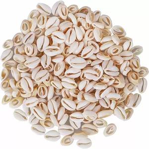 Jingyue 100PCS/BOLSA Venta al por Mayor de Cuentas de Concha Marina Natural Blanca de 14-20mm, Conchas Sueltas para Fabricación de Joyería - Product Image 2