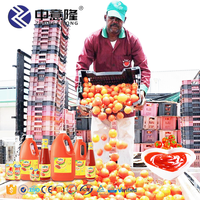 Beste Prijs Automatische Tomatenpasta Verwerkingsmachine Fabrikant Fruit Groenteconcentraat Processor Met Puree Functie