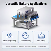 Machine à fabriquer des biscuits à ultrasons Wanlisonic, directement de l'usine, équipement en acier SUS304 pour une ligne complète de produits de collation