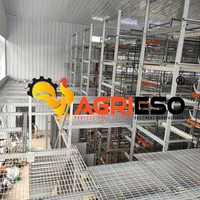 Système d'alimentation et d'abreuvement automatique pour cages de poules pondeuses, solution clé en main pour élevages avicoles